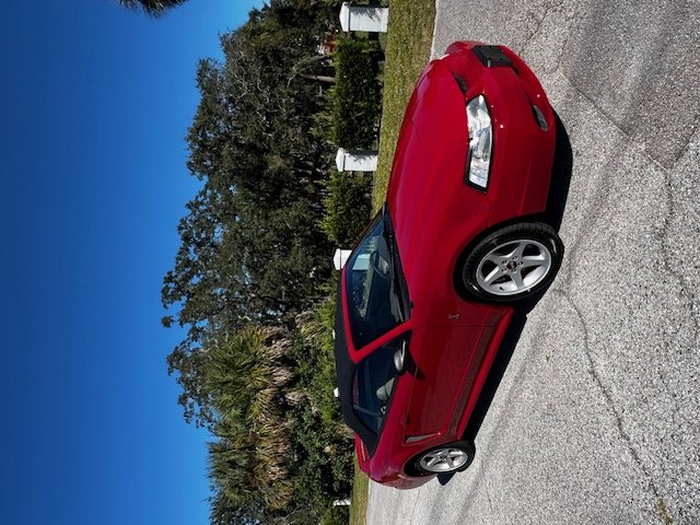 1999 Ford Mustang COBRA SVT's photo
